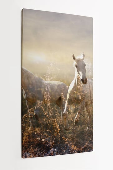 Obraz na płótnie HOMEPRINT, białe konie, galopujące po łące, wschód słońca, mustangi 50x100 cm HOMEPRINT
