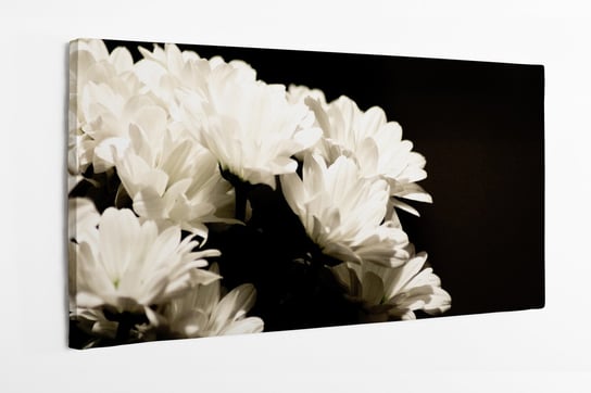 Obraz na płótnie HOMEPRINT, białe kwiaty na czarnym tle 140x70 cm HOMEPRINT