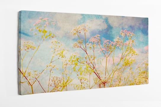 Obraz na płótnie HOMEPRINT, białe kwiaty polne, tło, pole, vintage, retro, łąka, kwiaty na łące 120x60 cm HOMEPRINT