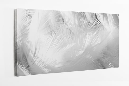 Obraz na płótnie HOMEPRINT, białe pióra, ptasie pióra, detale, zbliżenie 120x50 cm HOMEPRINT