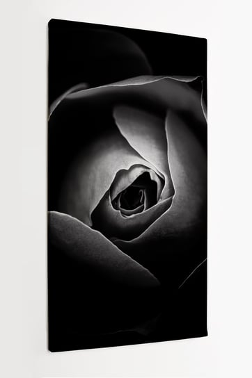 Obraz na płótnie HOMEPRINT, białe płatki róży, czarne tło, zbliżenie, detale, przyroda, róża 50x100 cm HOMEPRINT