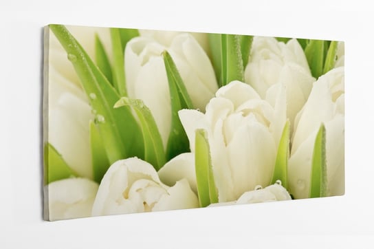 Obraz na płótnie HOMEPRINT, białe tulipany, zbliżenie, natura, detale, kwiaty, liście 120x50 cm HOMEPRINT