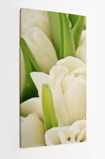 Obraz na płótnie HOMEPRINT, białe tulipany, zbliżenie, natura, detale, kwiaty, liście 60x120 cm HOMEPRINT