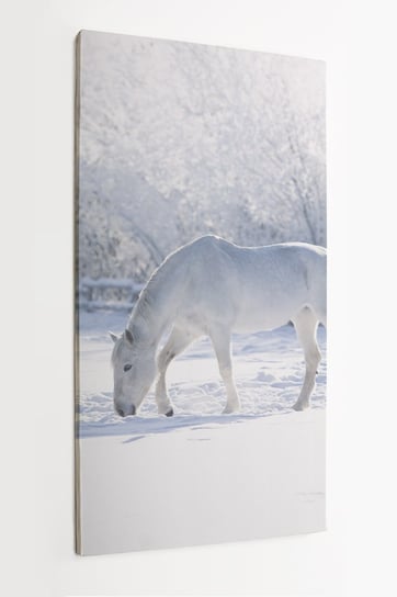 Obraz na płótnie HOMEPRINT, biały koń na śniegu, zima 50x100 cm HOMEPRINT