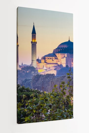 Obraz na płótnie HOMEPRINT, błękitny Meczet, miasto Stambuł, zachód słońca, architektura 50x100 cm HOMEPRINT