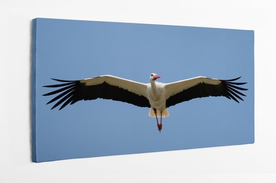 Obraz na płótnie HOMEPRINT, bocian biały, ptak na niebie, polski ptak 120x60 cm HOMEPRINT