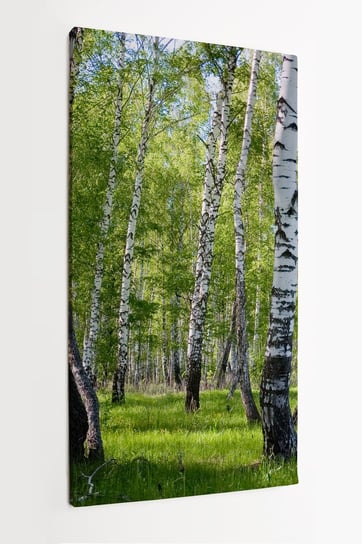 Obraz na płótnie HOMEPRINT, brzozowy las latem, promienie słońca, lato, trawa 60x120 cm HOMEPRINT