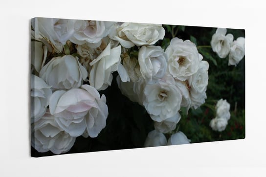 Obraz na płótnie HOMEPRINT, bukiet białych róż na czarnym tle 120x50 cm HOMEPRINT