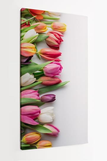 Obraz na płótnie HOMEPRINT, bukiet kolorowych tulipanów na jasnym tle 60x120 cm HOMEPRINT