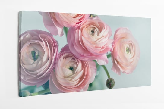 Obraz na płótnie HOMEPRINT, bukiet różowych jaskierów w wazonie, baby pink, delikatny, różowy, kwiat,  na jasnym tle 120x50 cm HOMEPRINT