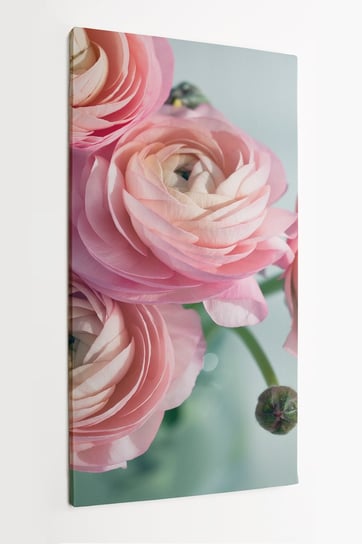 Obraz na płótnie HOMEPRINT, bukiet różowych jaskierów w wazonie, baby pink, delikatny, różowy, kwiat,  na jasnym tle 60x120 cm HOMEPRINT