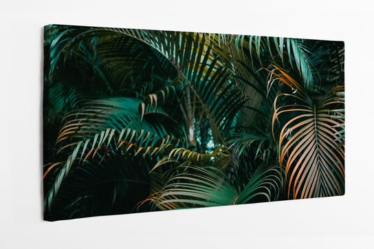 Obraz na płótnie HOMEPRINT, ciemne tropikalne dzikie gałęzie palmy 120x60 cm HOMEPRINT