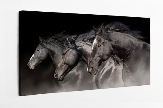 Obraz na płótnie HOMEPRINT, czarne konie, mustangi, galop 120x50 cm HOMEPRINT