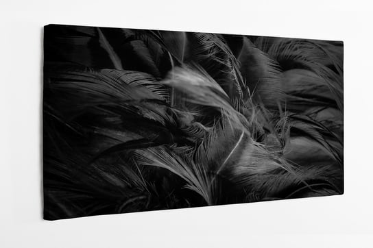 Obraz na płótnie HOMEPRINT, czarne pióra, pióra ptaka 120x60 cm HOMEPRINT