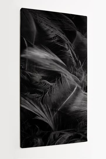 Obraz na płótnie HOMEPRINT, czarne pióra, pióra ptaka 60x120 cm HOMEPRINT