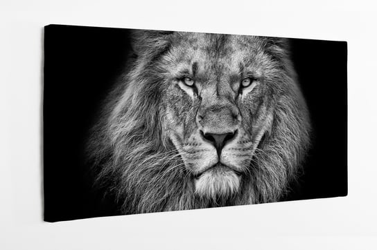 Obraz na płótnie HOMEPRINT,  czarno-biała twarz lwa, realizm 100x50 cm HOMEPRINT