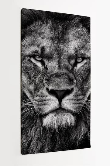 Obraz na płótnie HOMEPRINT,  czarno-biała twarz lwa, realizm 50x100 cm HOMEPRINT