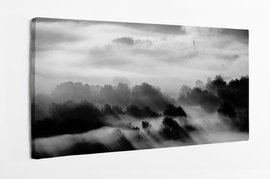 Obraz na płótnie HOMEPRINT, czarno-białe drzewa, promienie słońca, mgła 140x70 cm HOMEPRINT