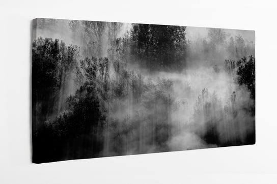 Obraz na płótnie HOMEPRINT, czarno-białe drzewa we mgle 120x60 cm HOMEPRINT