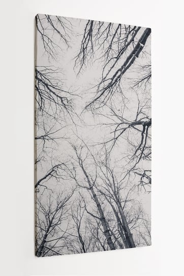 Obraz na płótnie HOMEPRINT, czarno-białe korony drzew, widok w górę 60x120 cm HOMEPRINT