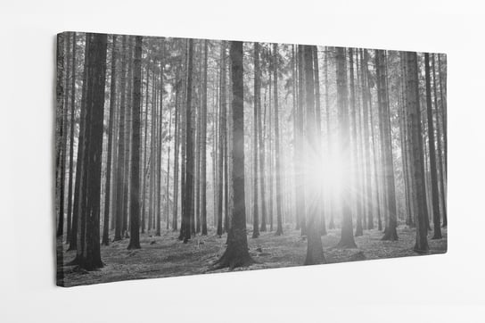 Obraz na płótnie HOMEPRINT, czarno-białe, las, promienie słońca zza drzew 140x70 cm HOMEPRINT