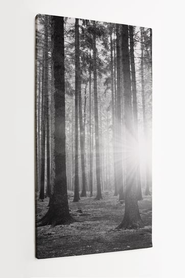 Obraz na płótnie HOMEPRINT, czarno-białe, las, promienie słońca zza drzew 50x100 cm HOMEPRINT