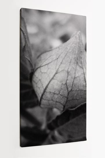 Obraz na płótnie HOMEPRINT, czarno-białe liście 60x120 cm HOMEPRINT