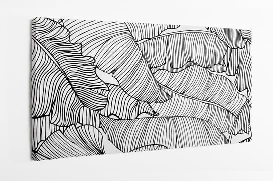 Obraz na płótnie HOMEPRINT,  czarno-białe liście bananowca 100x50 cm HOMEPRINT