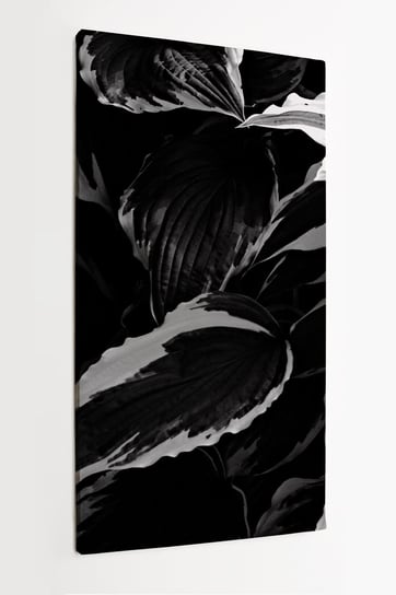 Obraz na płótnie HOMEPRINT, czarno-białe, liście, faktura, zbliżenie, detale 60x120 cm HOMEPRINT