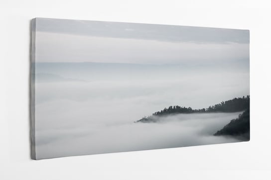 Obraz na płótnie HOMEPRINT, czarno-białe, ocean mgły, mgła, zamglony tajemniczy las 120x60 cm HOMEPRINT