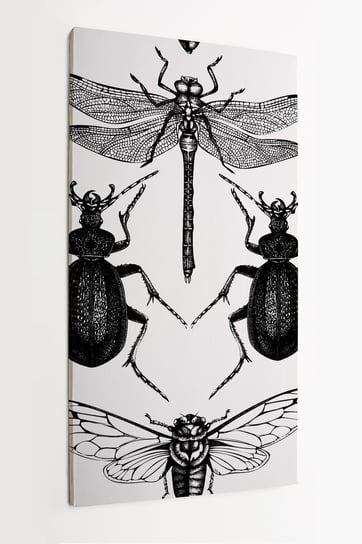 Obraz na płótnie HOMEPRINT, czarno - białe owady typ ważka, chrząszcz, mucha 60x120 cm HOMEPRINT