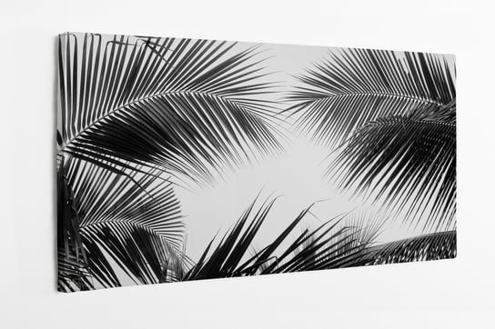 Obraz na płótnie HOMEPRINT, czarno-białe, palmy kokosowe, tropikalne liście, liście palm 100x50 cm HOMEPRINT