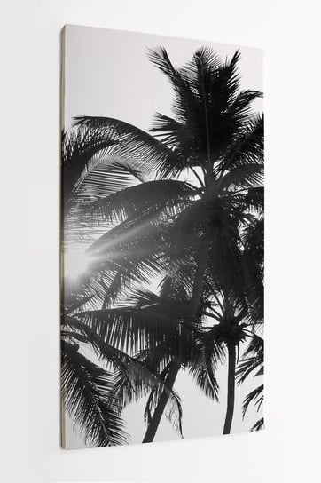 Obraz na płótnie HOMEPRINT,  czarno-białe palmy na białym tle 60x120 cm HOMEPRINT