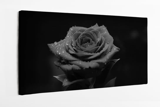Obraz na płótnie HOMEPRINT, czarno-białe, szara róża na czarnym tle, kwiat 100x50 cm HOMEPRINT