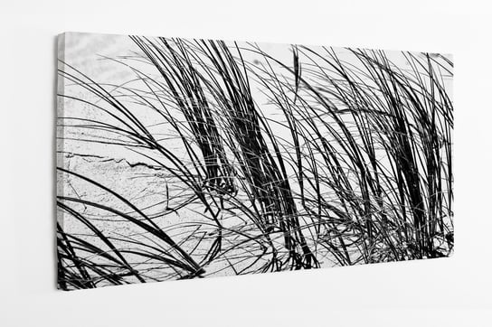 Obraz na płótnie HOMEPRINT, czarno-białe zbliżenie na trawę na wydmach 120x60 cm HOMEPRINT