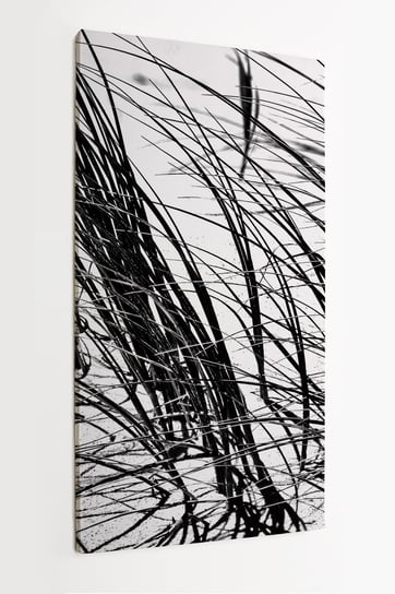 Obraz na płótnie HOMEPRINT, czarno-białe zbliżenie na trawę na wydmach 50x100 cm HOMEPRINT