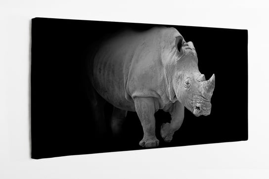 Obraz na płótnie HOMEPRINT, czarno-białe zdjęcie nosorożca na czarnym tle 140x70 cm HOMEPRINT
