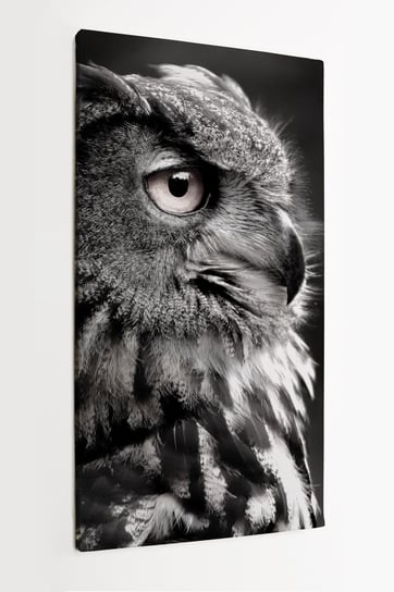 Obraz na płótnie HOMEPRINT,  czarno-białe zdjęcie sowy 50x100 cm HOMEPRINT