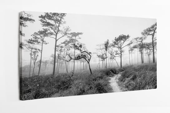 Obraz na płótnie HOMEPRINT, czarno-biały, droga, drzewa, ścieżka 120x60 cm HOMEPRINT