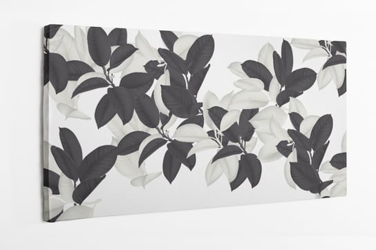 Obraz na płótnie HOMEPRINT, czarno-biały kwiat fikusa na białym tle 100x50 cm HOMEPRINT