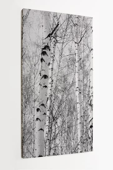 Obraz na płótnie HOMEPRINT, czarno biały las brzozowy 50x100 cm HOMEPRINT