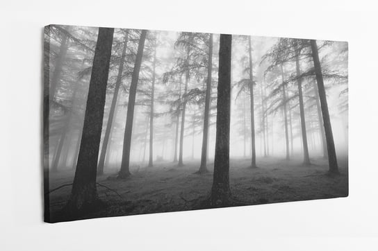 Obraz na płótnie HOMEPRINT, czarno-biały, zamglony, las mglisty, magła 120x50 cm HOMEPRINT