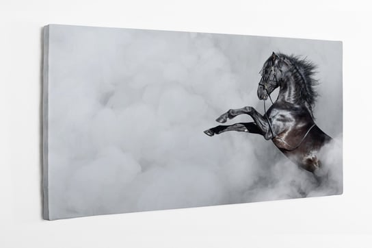 Obraz na płótnie HOMEPRINT, czarny koń Hiszpański w dymie 100x50 cm HOMEPRINT