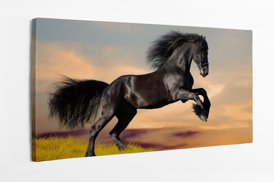 Obraz na płótnie HOMEPRINT, czarny koń, majestatyczny, galop, koń fryzyjski, pole 100x50 cm HOMEPRINT
