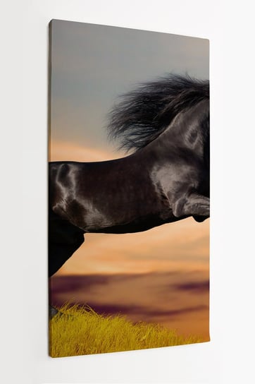 Obraz na płótnie HOMEPRINT, czarny koń, majestatyczny, galop, koń fryzyjski, pole 50x100 cm HOMEPRINT