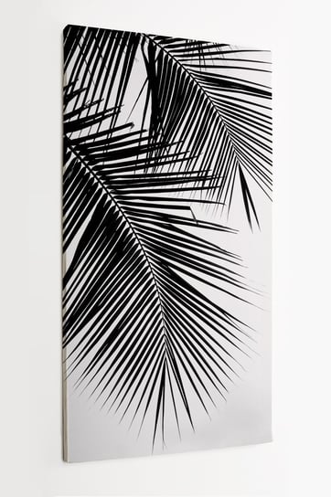 Obraz na płótnie HOMEPRINT, czarny liść palmy na białym tle 60x120 cm HOMEPRINT