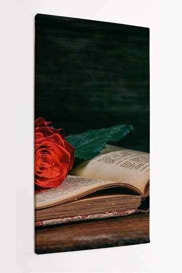 Obraz na płótnie HOMEPRINT, czerwona róża, książka, dramat, kwiat 50x100 cm HOMEPRINT