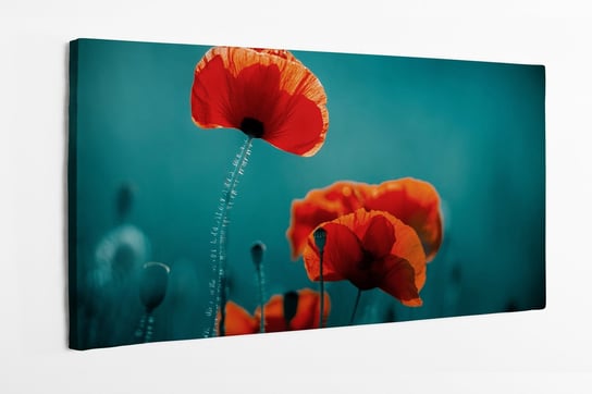 Obraz na płótnie HOMEPRINT, czerwone maki, letnie kwiaty, lato, wiosna, niebieskie tło, natura 140x70 cm HOMEPRINT