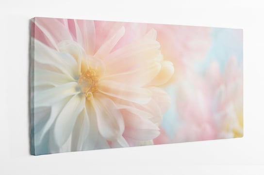Obraz na płótnie HOMEPRINT, Dalia, Piwonia, delikatne kolory, kwiat, wiosna 100x50 cm HOMEPRINT