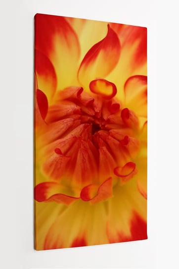 Obraz na płótnie HOMEPRINT, dalie, czerwono-żółte płatki, kwiat, zbliżenie, detale 50x100 cm HOMEPRINT